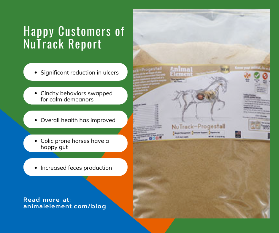 Happy customers of NuTrack report reduction in ulcers, less cinchy behaviors, and colic prone horses now have a happy gut.