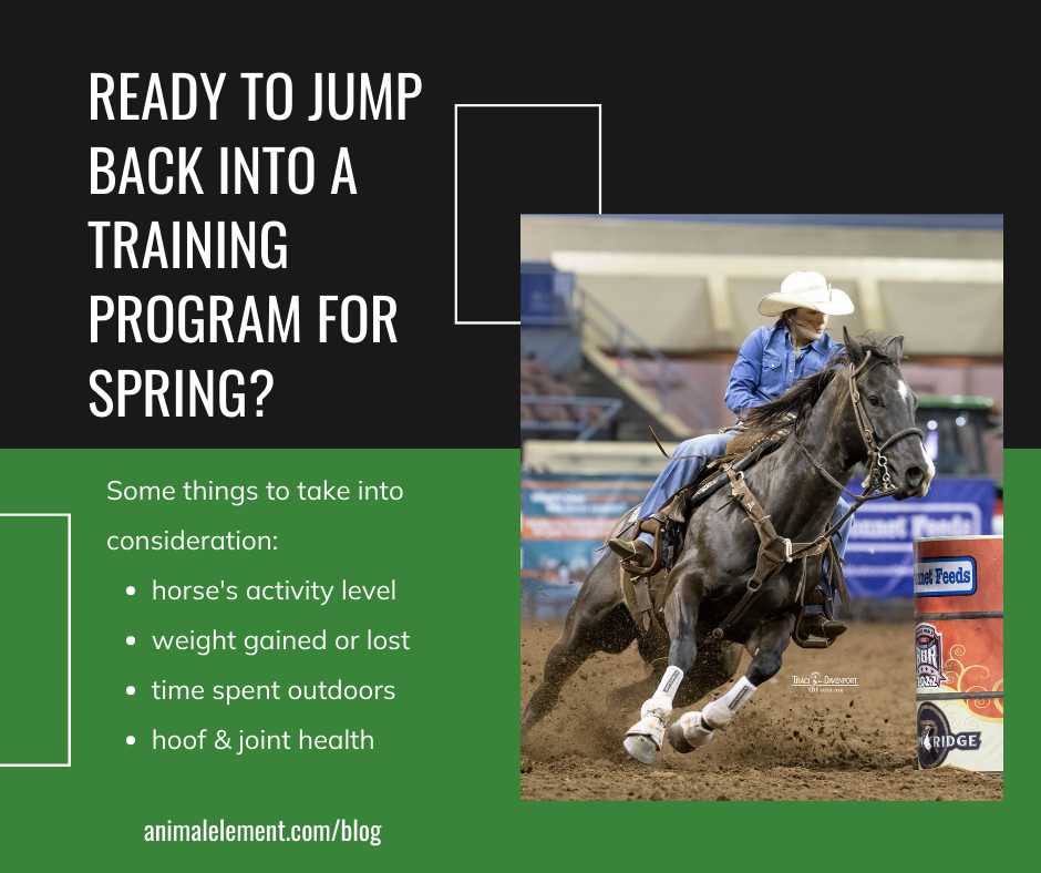 barrel racer turing a barrel with tips for preparing your horse for spring