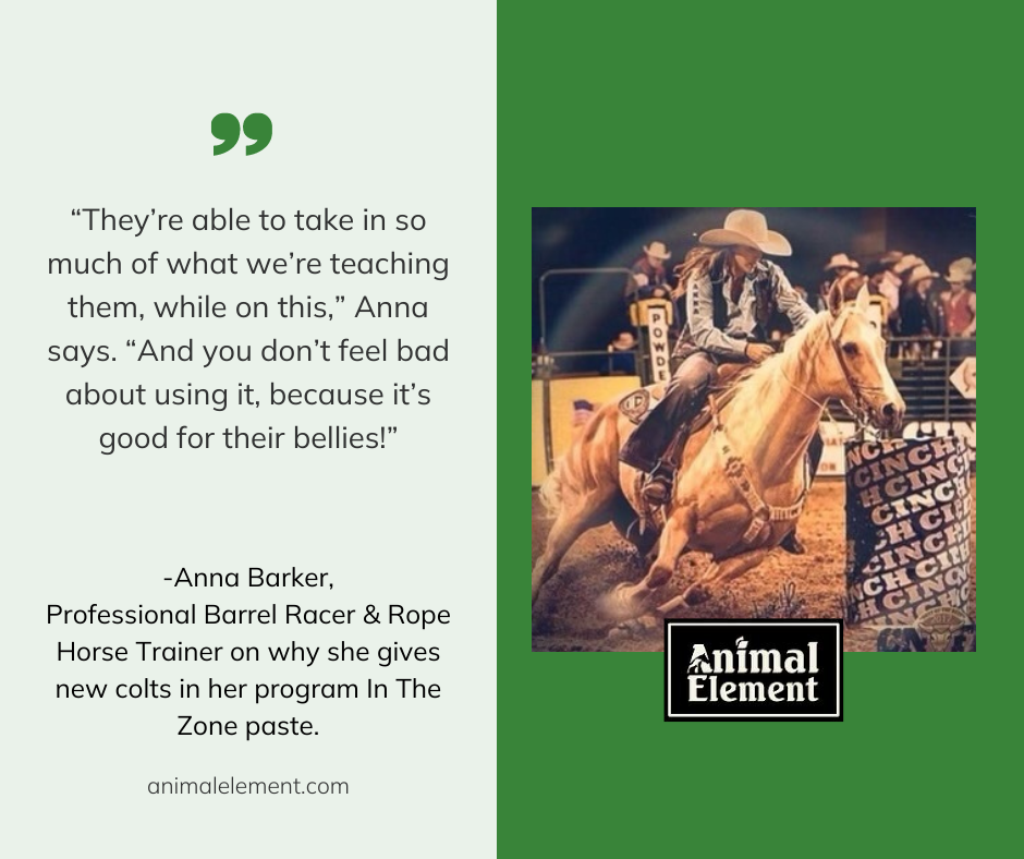 Anna Barker on a barrel horse, with text explaining why she uses In The Zone calming paste