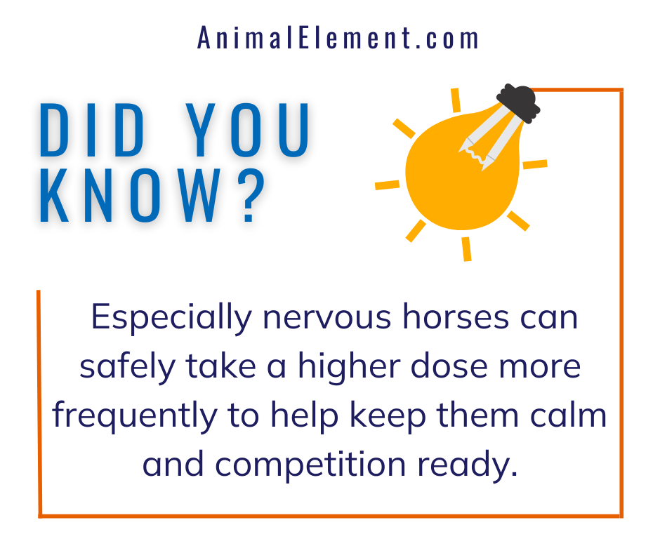 A "did you know? graphic with a lightbulb saying that nervous horses can take a higher dose of In The Zone calming paste