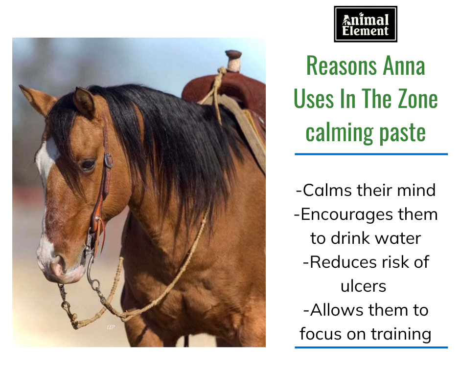 Reasons Anna Barker uses In The Zone calming paste, with a photo of a horse