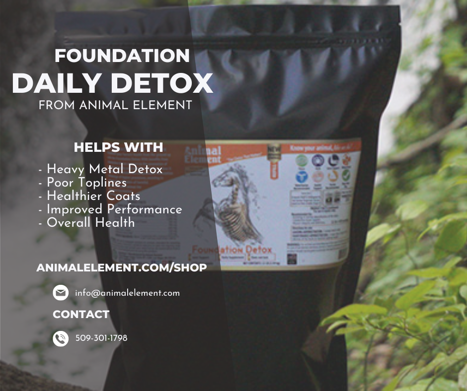 Image of Animal Element's Foundation Daily Detox with benefits of it written across the image.