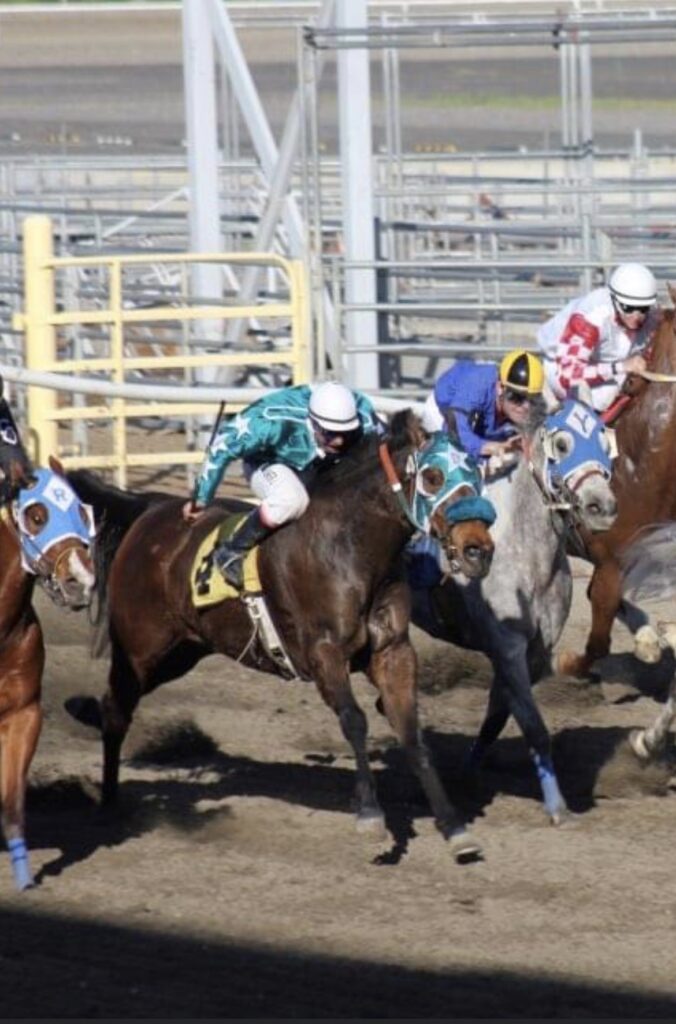 AQHA racehorse, Easily a Smash Hit, running and winning a race after finding best calming paste.