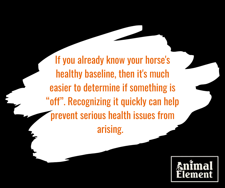 quote-graphic-with-a-black-and-white-background-if-you-know-your-horses-health-baseline-you'll-realize-a-problem-faster