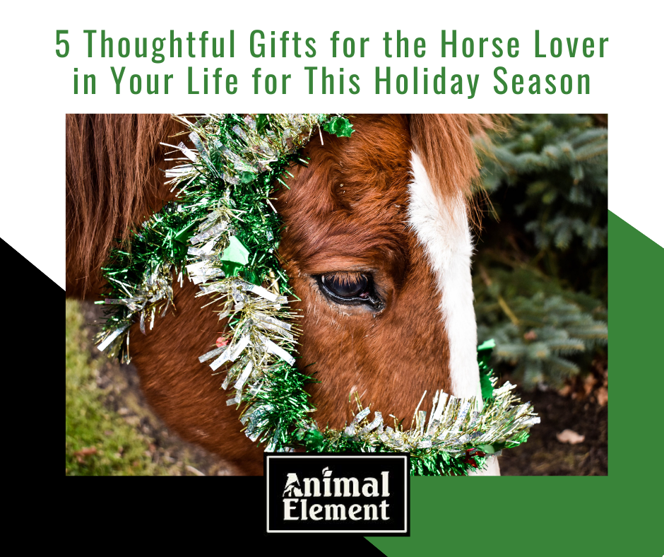 5-thoughtful-gifts-for-the-horse-lover-in-your-life-with-image-of-horse-with-tinsel-bridle