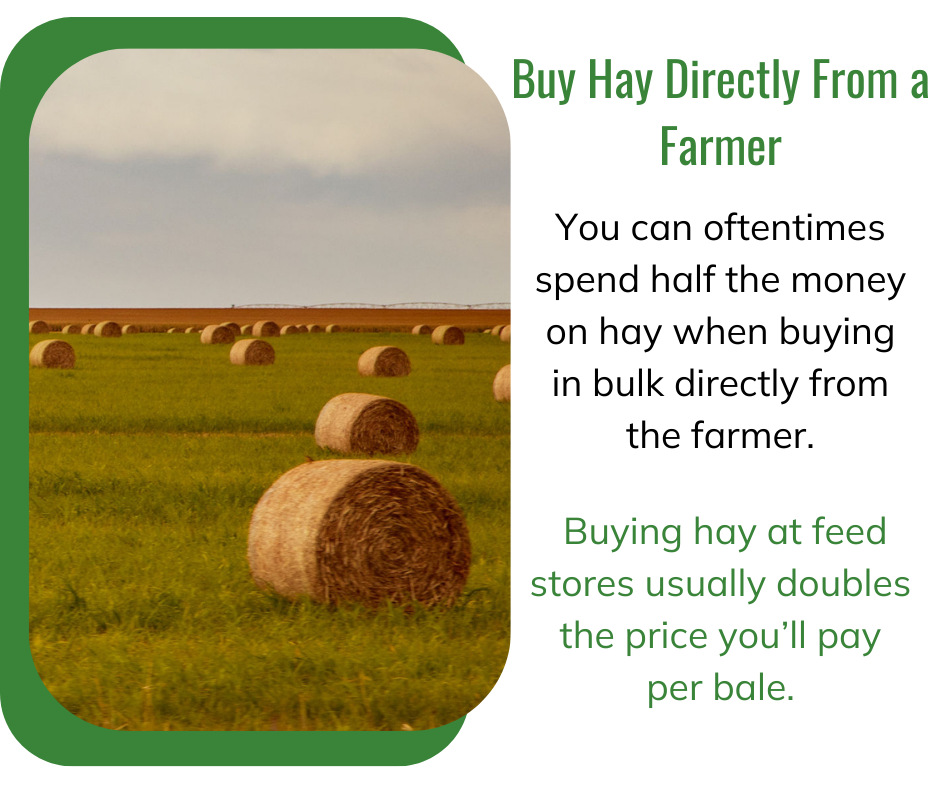 image-of-round-hay-bales-in-a-field-with-how-buying-hay-from-a-farmer-can-save-on-cost-of-owning-horses