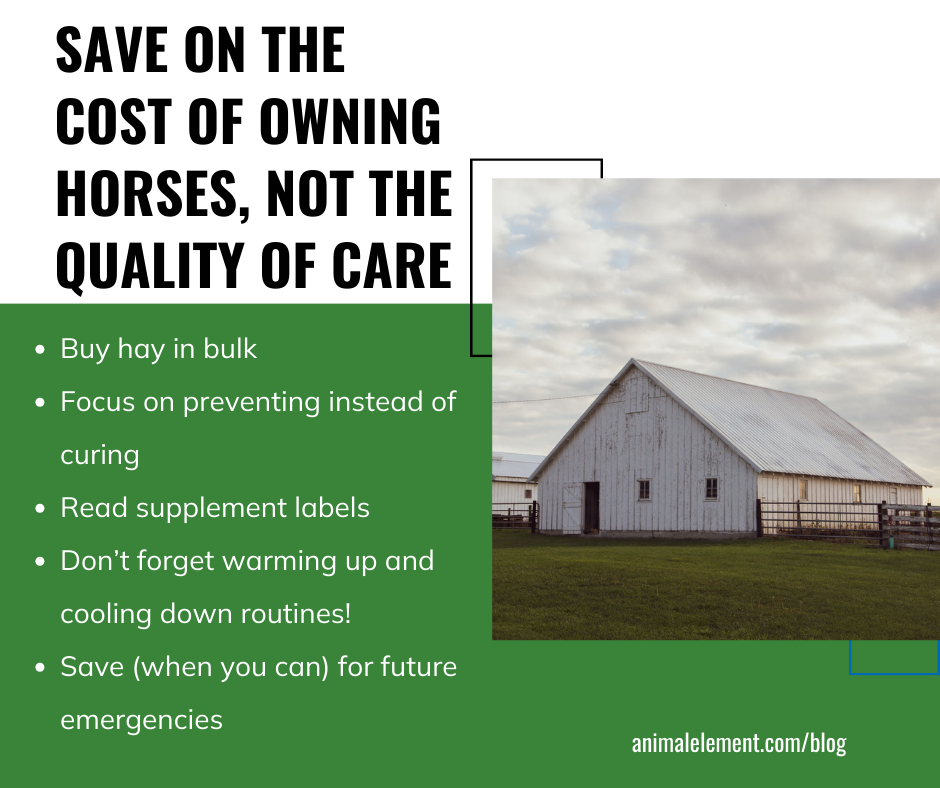 image-of-white-barn-with-5-ways-to-save-on-cost-of-owning-horses