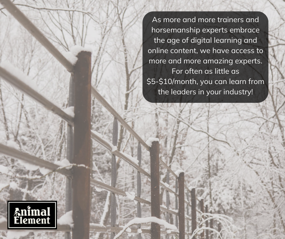 background-picture-of-snowy-trees-and-fenceline-with-blurb-about-buying-gifts-for-the-horse-lover