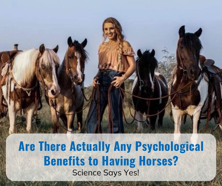 image-of-girl-with-long-blonde-braid-in-front-of-several-horses-psychological-benefits-of-having-horses