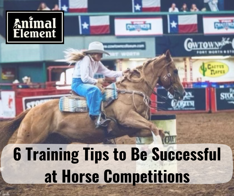 image-of-blonde-woman-barrel-racing-with-training-tips-on-being-successful-at-horse-competitions