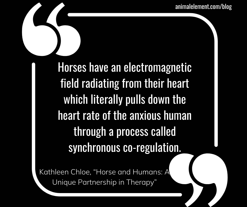 black-and-white-quote-graphic-about-horses-being-able-to-lower-human-heart-rate