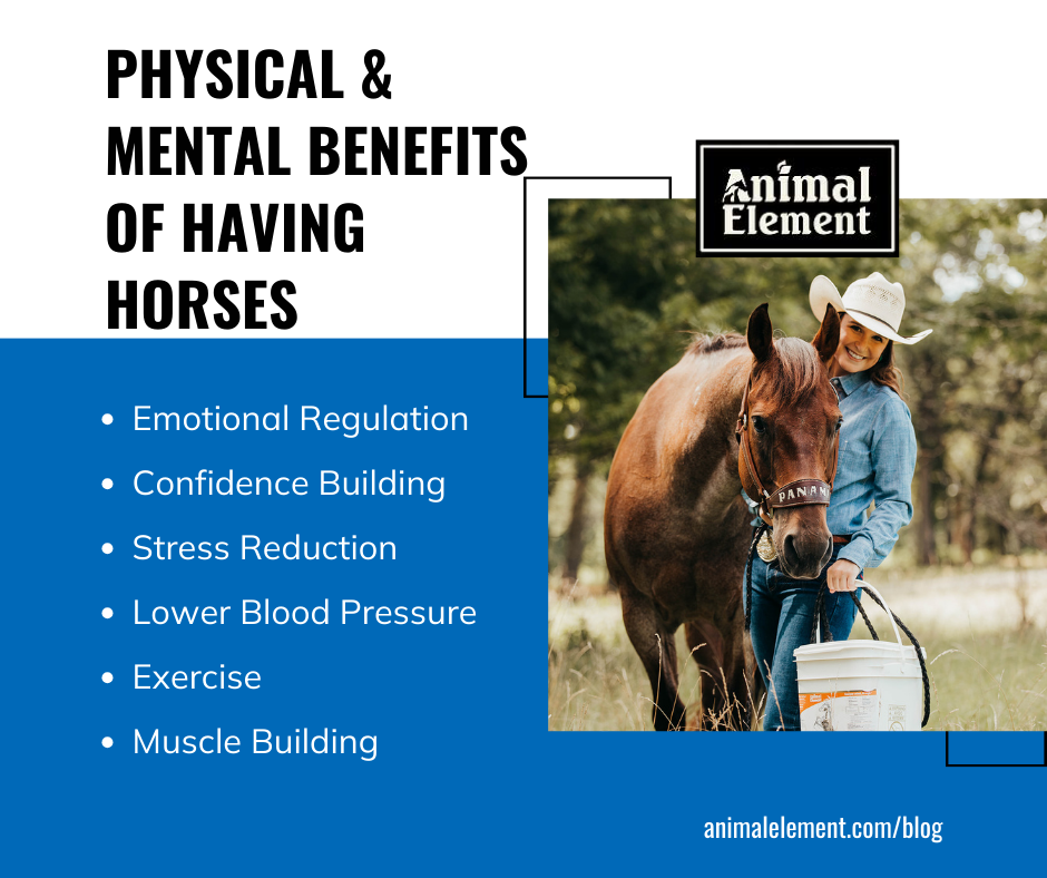 physical-and-mental-benefits-of-having-horses-with-image-of-ali-barker-and-panama