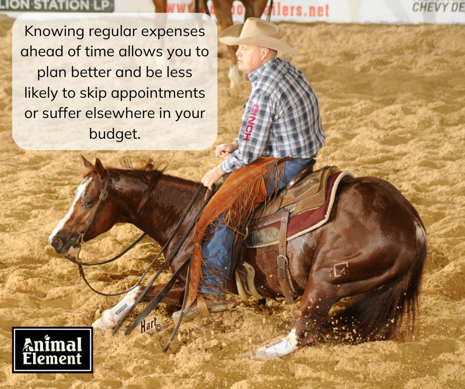image-of-man-on-cutting-horse-down-on-ground-with-quote-in-corner-of-image