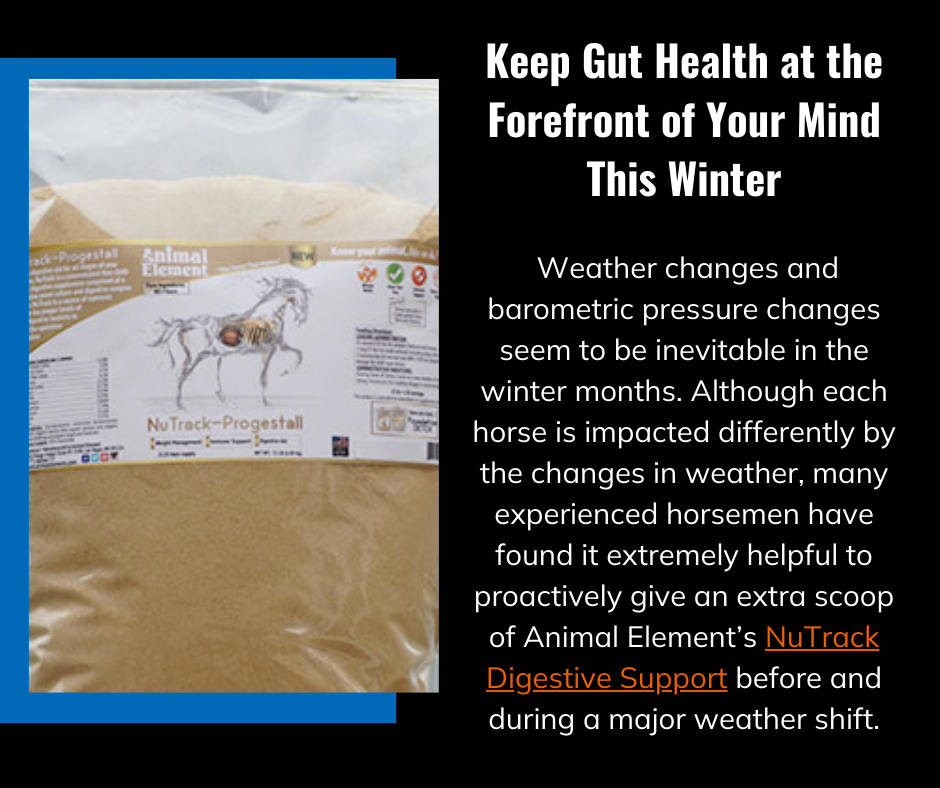 product-image-with-information-about-importance-of-gut-heatlh-during-cold-weather