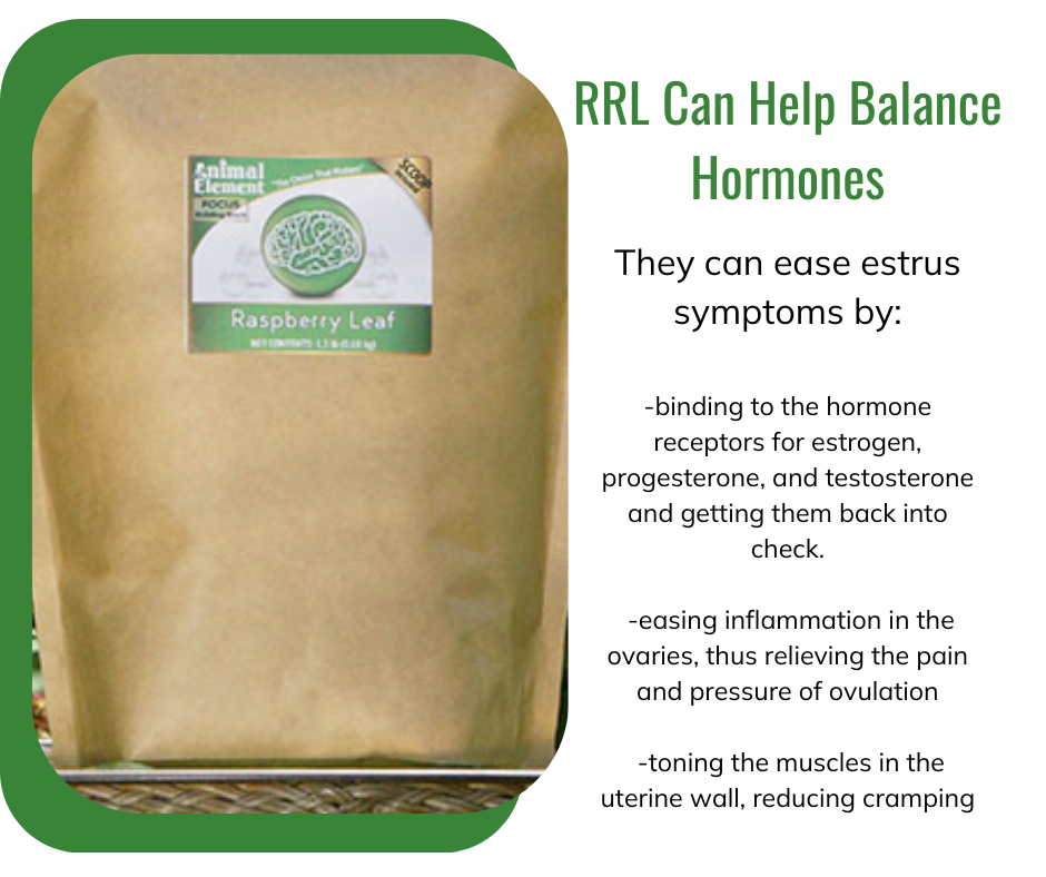 image-of-packaged-red-raspberry-leaves-for-horses-with-information-on-how-the-balance-hormones