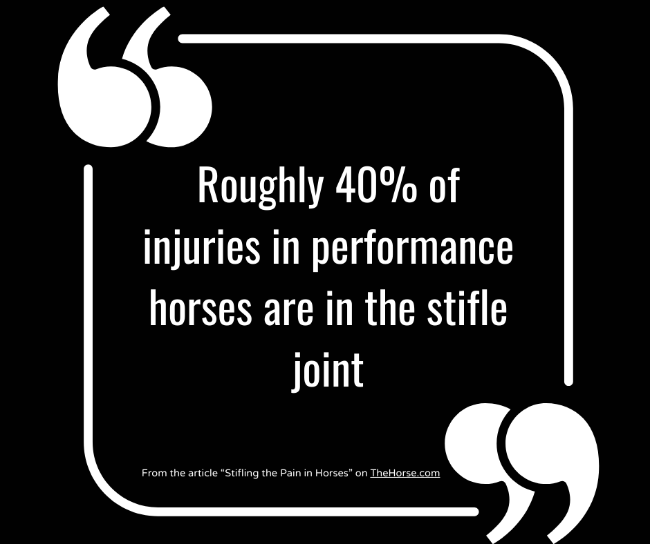 white-text-on-black-background-of-quote-taken-from-an-article-about-injuries-in-performance-horses