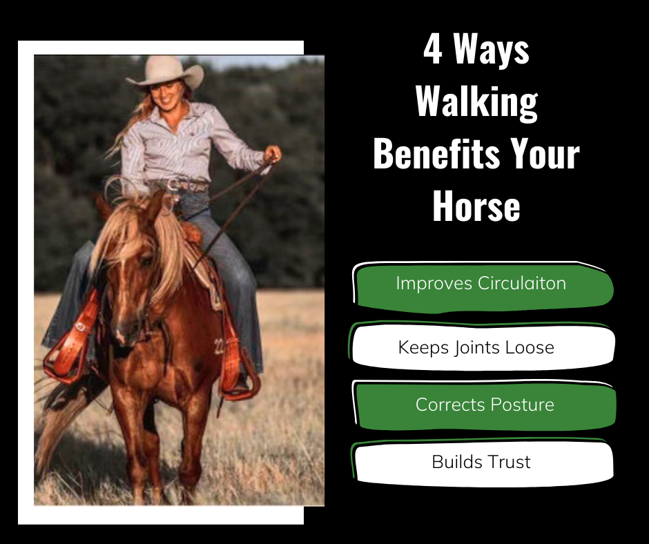4-benefits-of-walking-your-horse-in-bulletpoints-and-image-of-smiling-woman-riding-her-horse