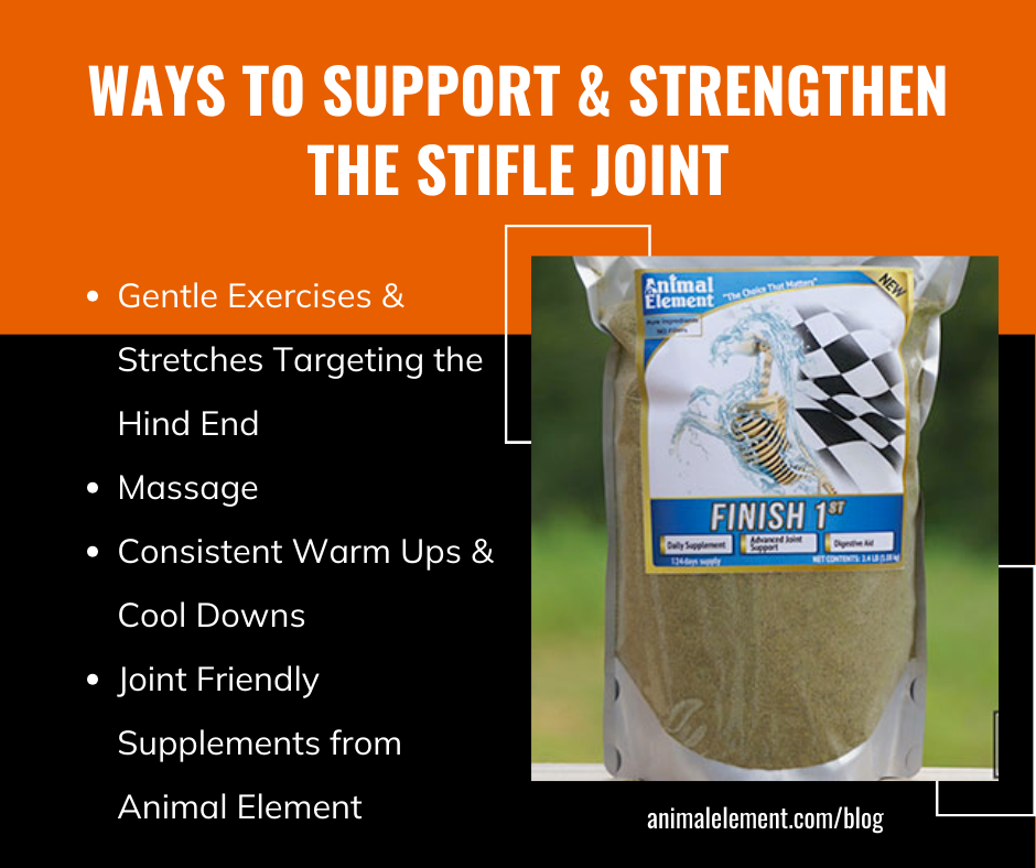 product-image-of-finish-1st-advanced-joint-supplement-with-bullet-points-on-how-to-support-a-healthy-stifle-joint