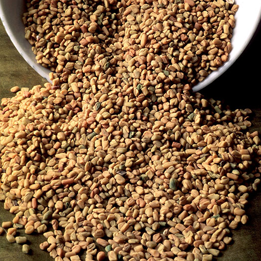 image-of-dried-fenugreek-spilling-out-of-bowl