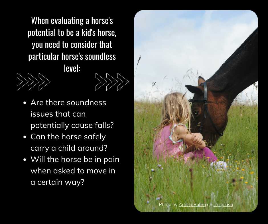 consider-soundless-level-of-horse-when-buying-for-a-beginner-rider-with-image-of-girl-sitting-next-to-grazing-horse