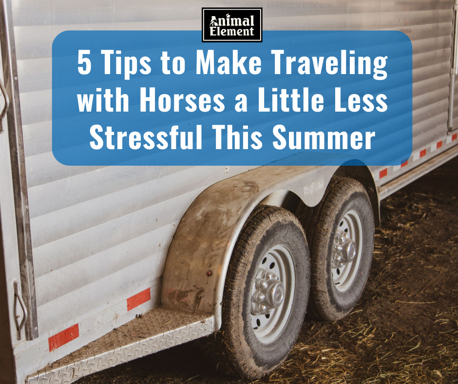 5-tips-to-make-traveling-with-horses-a-little-less-stressful-this-summer
