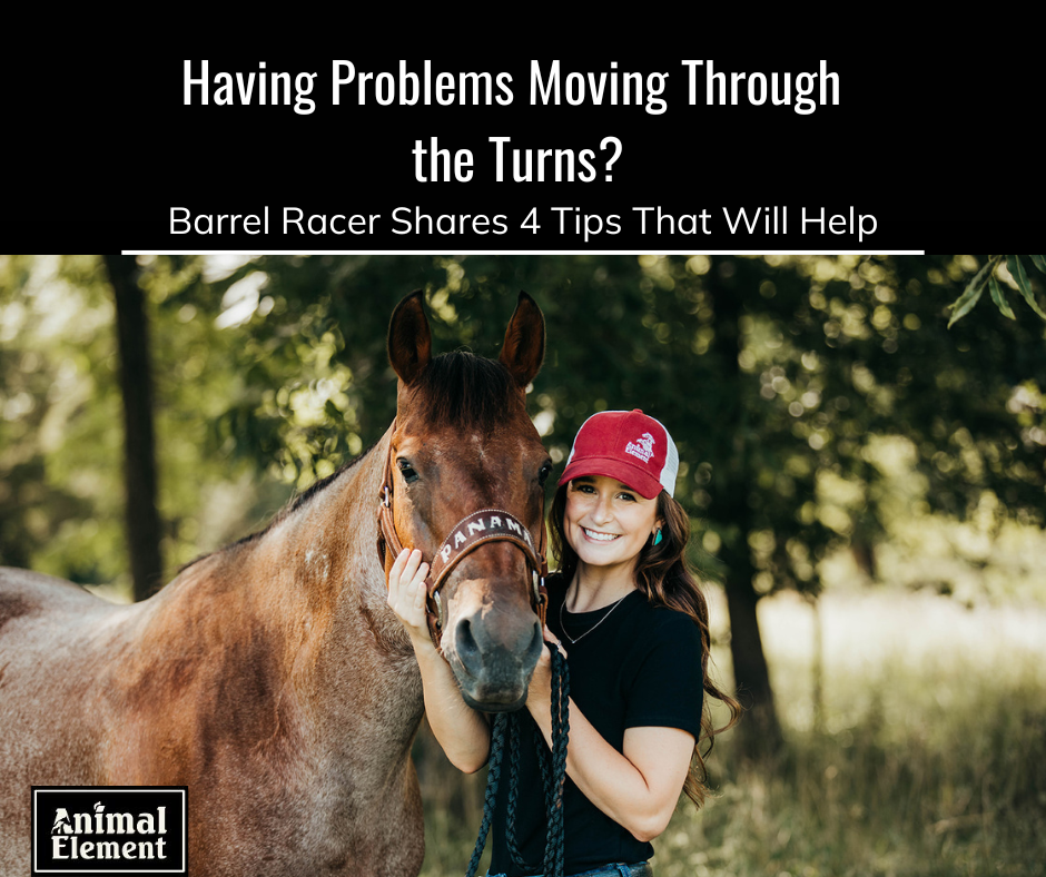 ali-in-red-baseball-cap-standing-next-to-horse-panama-for-blog-about-moving-through-the-turns