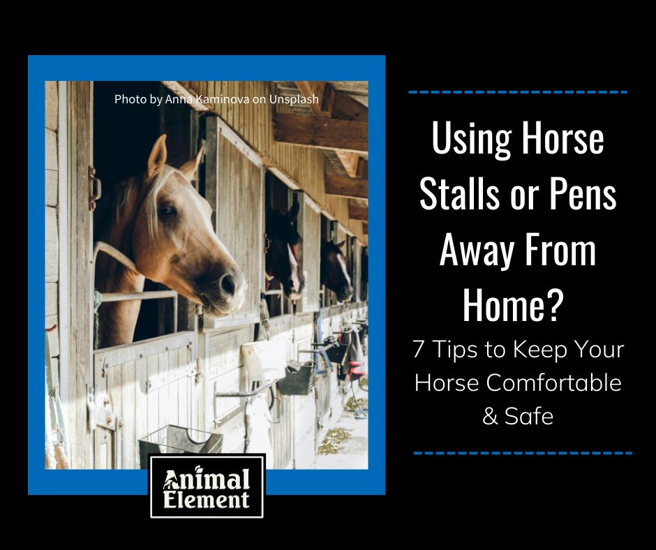 7-tips-to-keep-your-horse-safe-when-using-horse-stalls-or-pens-away-from-home