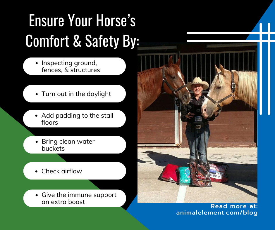 seven-things-to-do-to-make-sure-your-horse-is-comfortable-in-unfamiliar-horse-stalls-or-pens