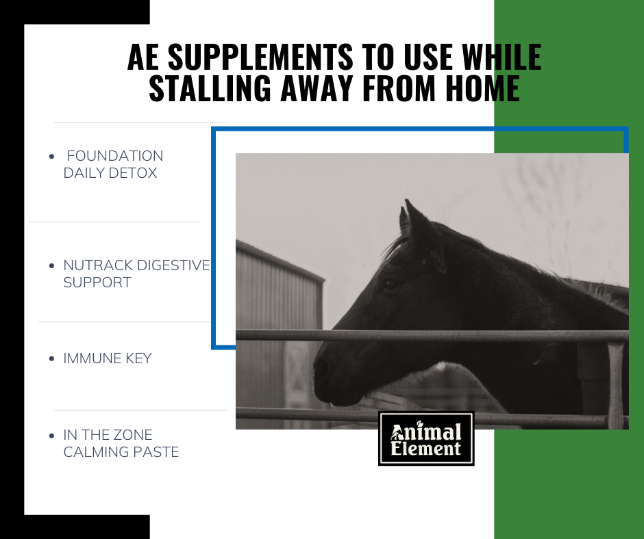animal-element-supplements-to-use-while-using-horse-stalls-away-from-home