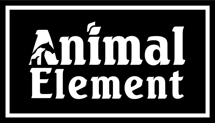 Animal Element