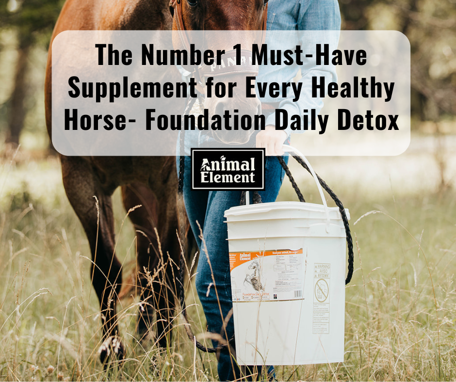 ali-armstrong-holding-a-bucket-of-foundation-daily-detox