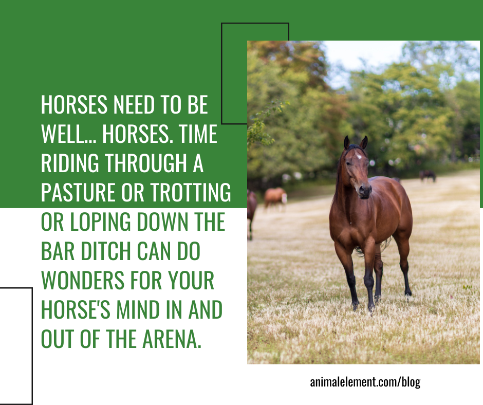 sometimes-horses-need-time-away-from-drills-and-arenas-to-help-with-gate-issues