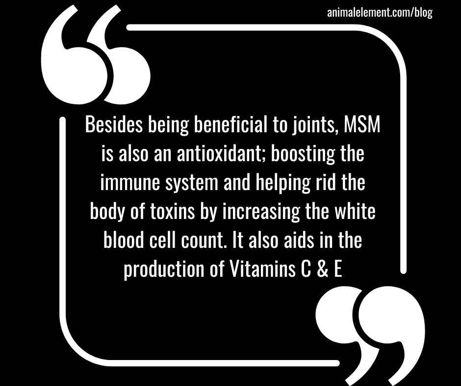 msm-benefits-in-foundation-daily-detox-black-and-white-text-quote-graphic