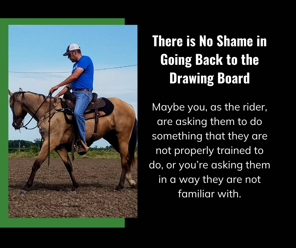 there-is-no-shame-going-back-to-the-drawing-board-in-your-horses-training