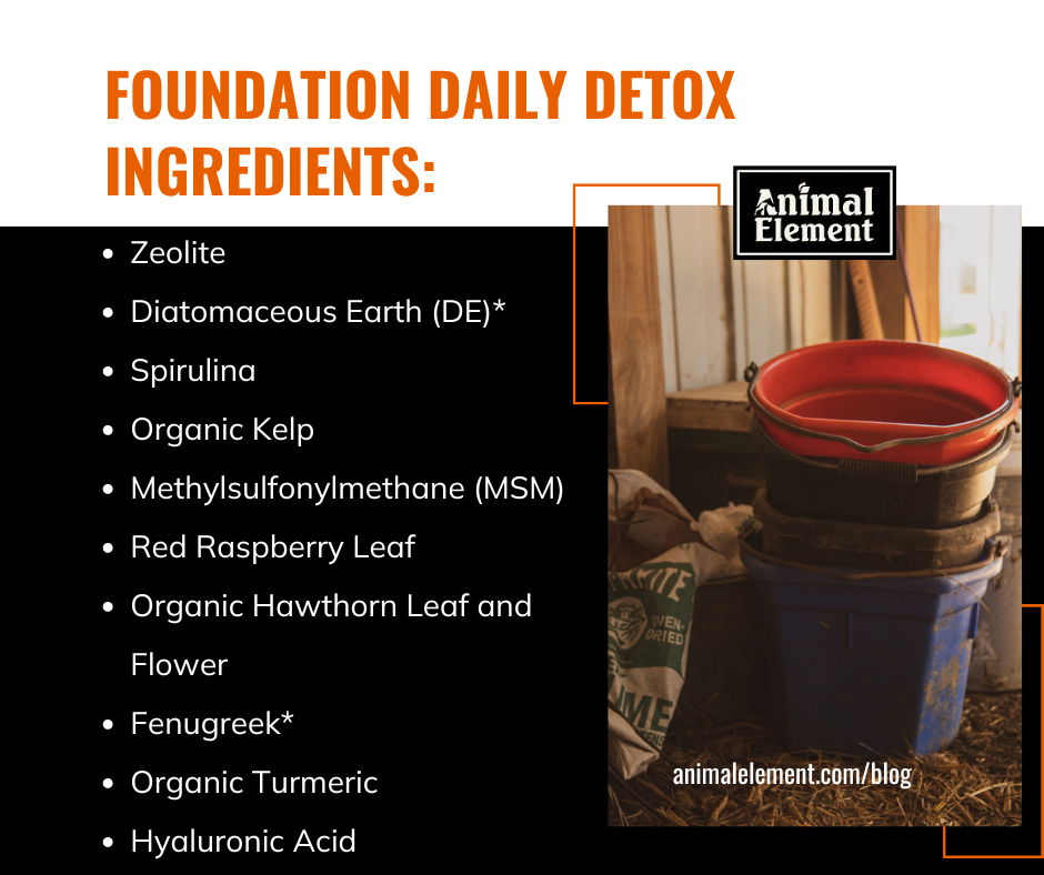 ten-ingredients-in-foundation-daily-detox