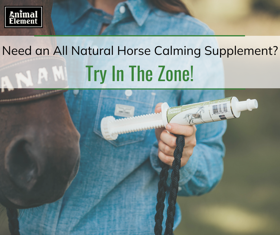 need-an-all-natural-horse-calming-supplement-try-in-the-zone-calming-paste