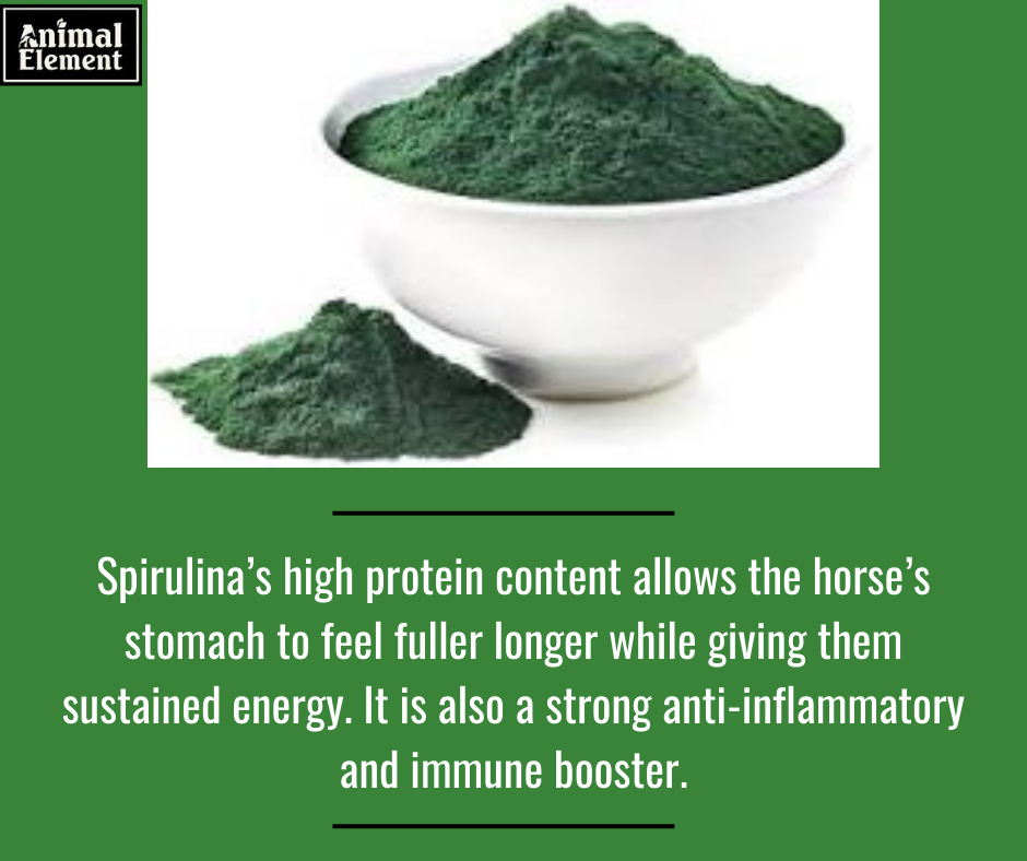 spirulina-is-a-high-protein-superfood-included-in-itz-calming-paste