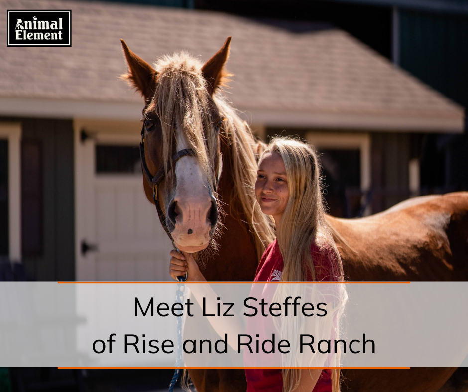 photo-of-liz-steffes-owner-of-rise-and-ride-ranch-who-uses-animal-element-supplements-to-help-with-horse-rehabilitation