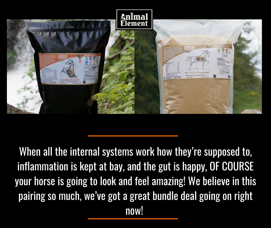 product-images-of-fdd-and-nutrack-with-how-they-aid-in-horse-rehabilitation