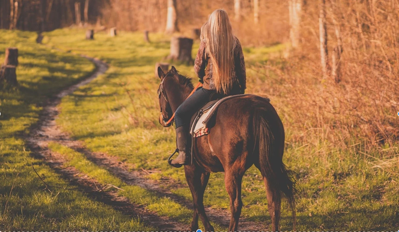 rise-and-ride-horse-rehabilitation-ranch