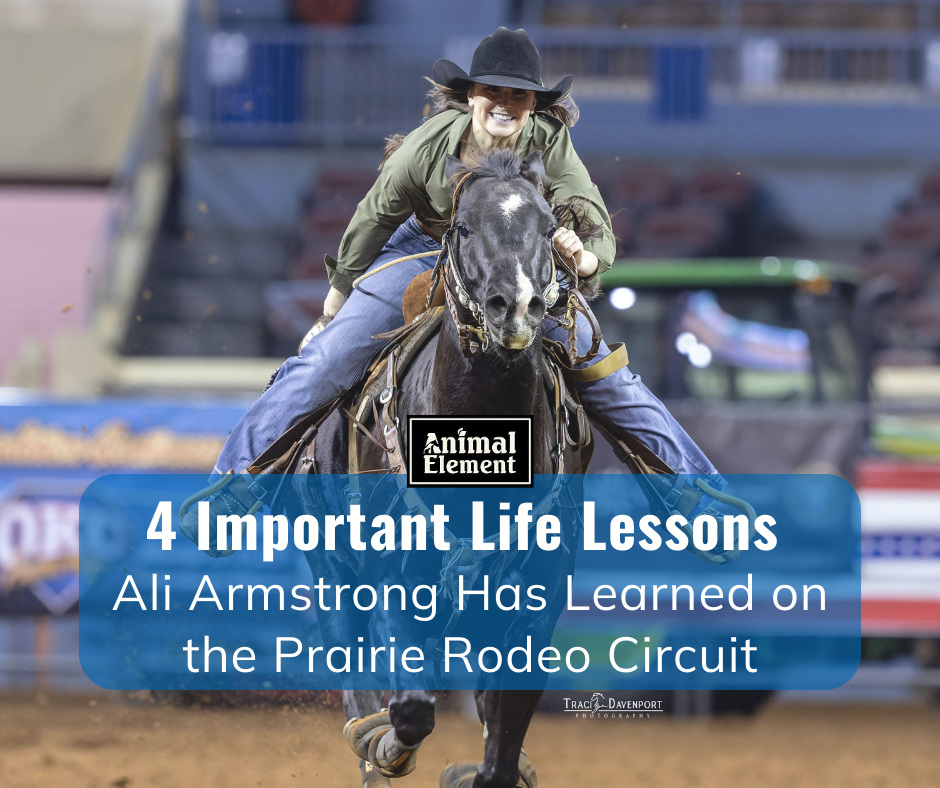 smiling-woman-on-horseback-running-towards-the-camera-for-the-blog-4-important-life-lessons-learned-on-the-rodeo-circuit