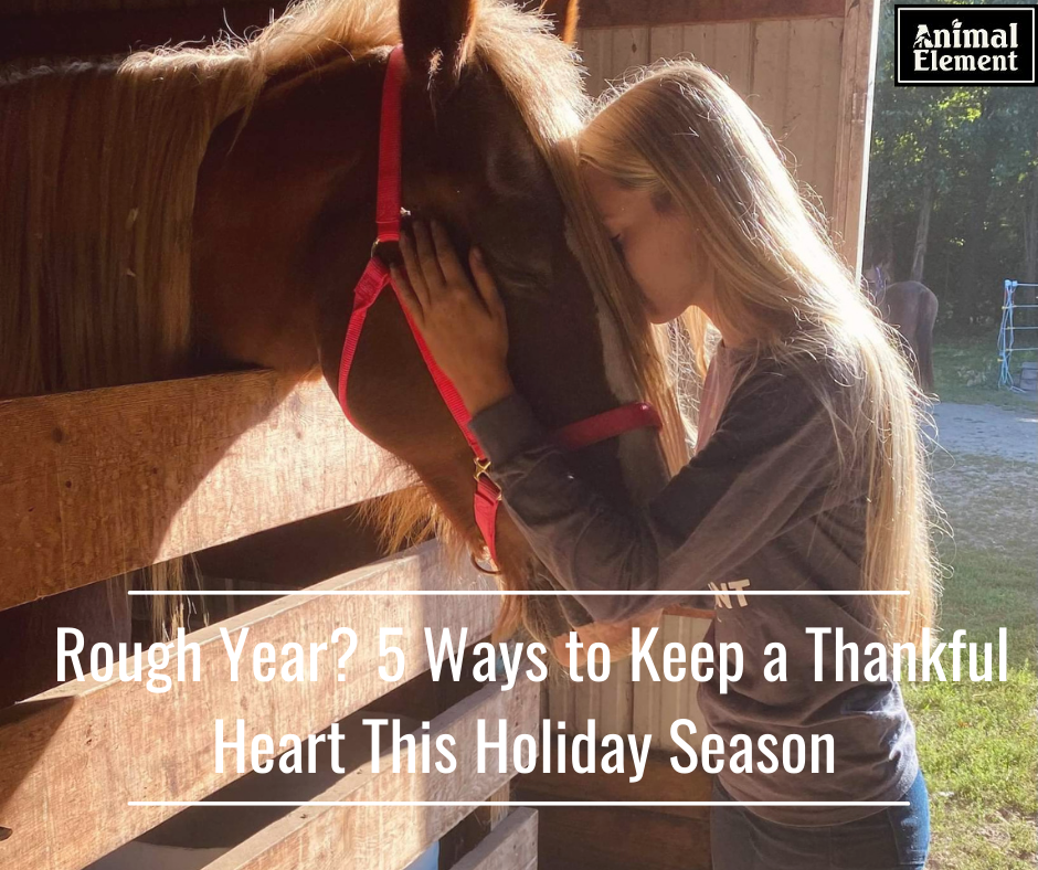 woman-with-long-blonde-hair-resting-her-forehead-against-the-forehead-of-a-horse-in-a-stall-for-a-blog-about-keeping-a-thankful-heart-after-a-rough-year