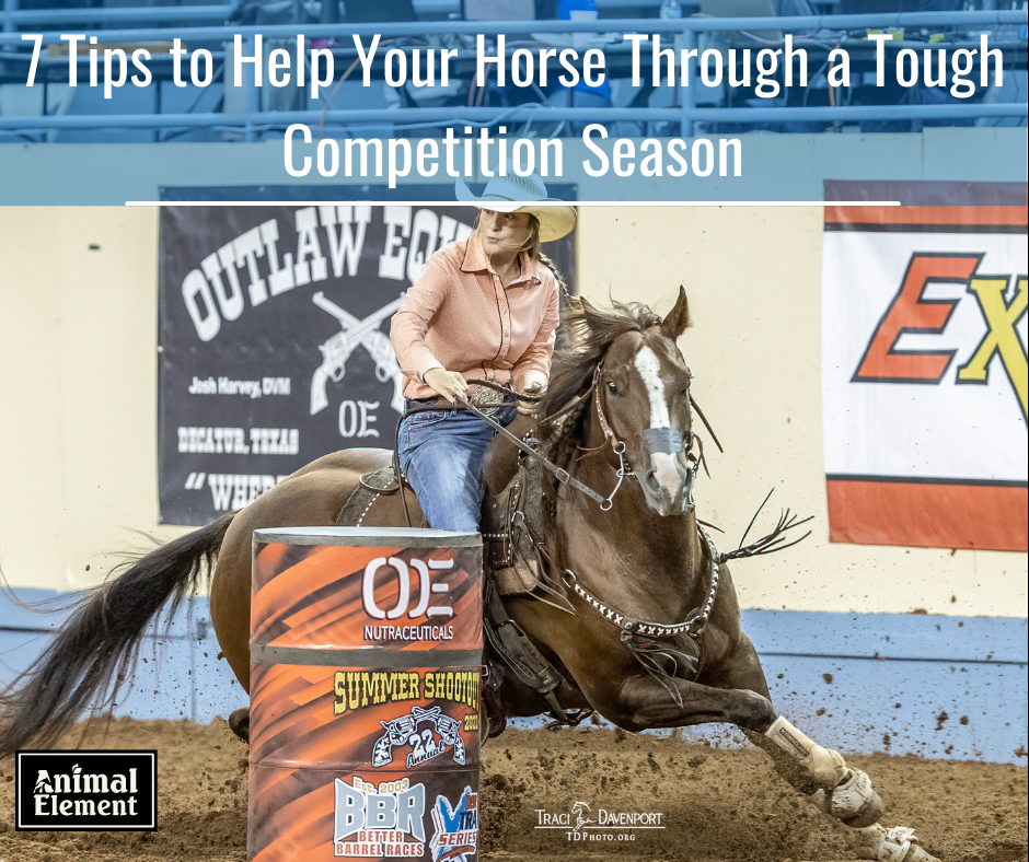 7-tips-to-help-you-horse-through-a-tough-competition-season