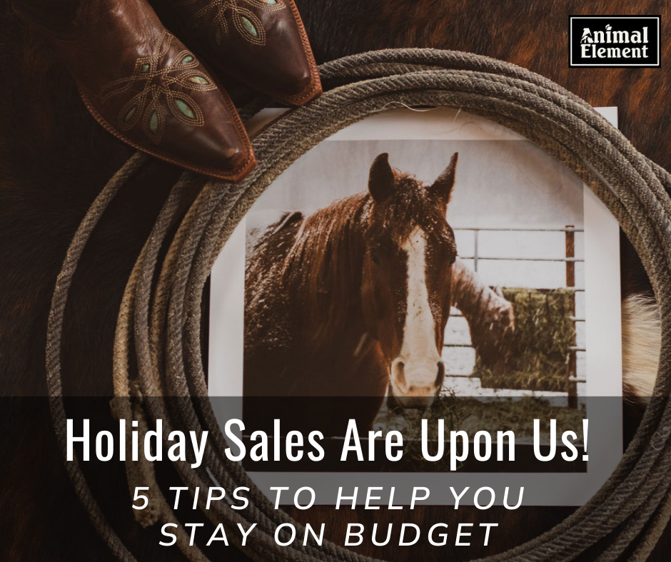 cover-photo-of-a-rope-framing-a-polaroid-of-a-horse-for-a-blog-about-staying-on-budget-during-hoiday-sales