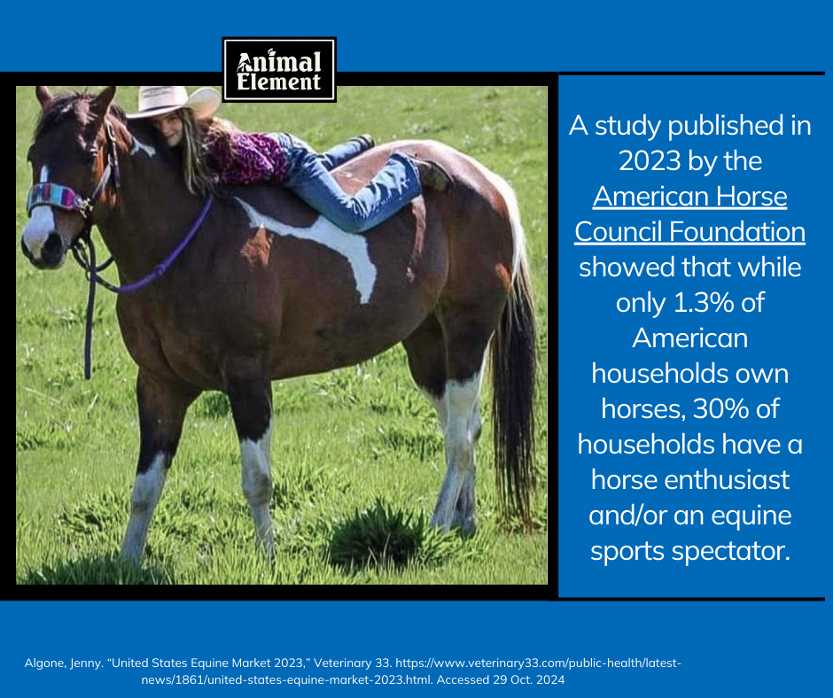 young-female-child-laying-on-the-back-of-a-paint-horse-with-a-statistic-of-horse-ownership-in-america-to-the-side