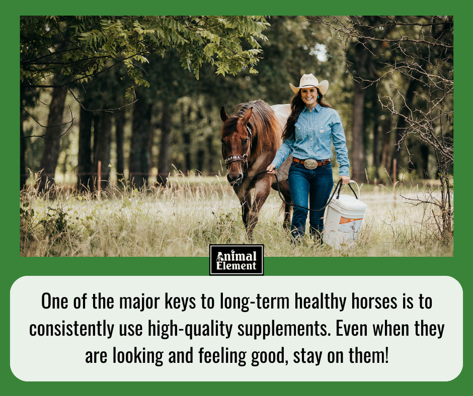 smiling-woman-with-long-hair-in-a-denim-shirt-leading-a-horse-through-a-field-holding-a-bucket-of-horse-supplements