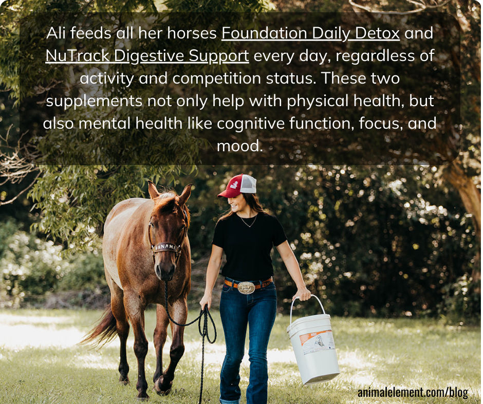 woman-in-black-tee-shirt-and-baseball-hat-leading-a-horse-and-carrying-a-bucket-of-animal-element-talking-about-lessons-she's-learned-on-the-rodeo-circuit