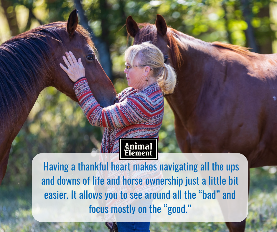 a-blond-woman-with-short-hair-stands-between-two-horses-rubbing-the-face-of-one-horse-with-a-text-blurb-about-having-a-thankful-heart