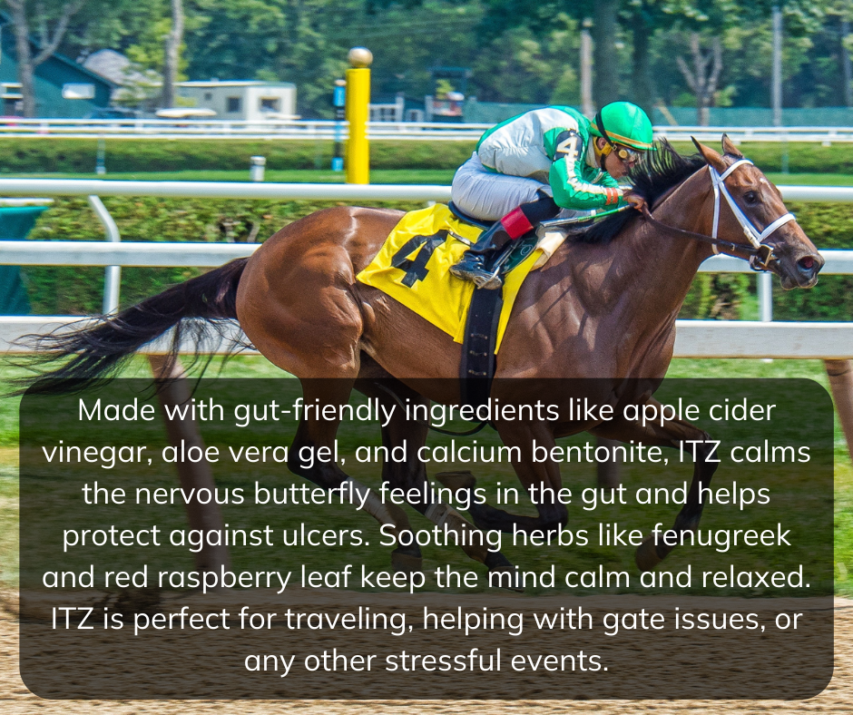 photo-of-a-hockey-in-a-green-helmet-on-a-racehorse-with-the-ingredients-of-in-the-zone-paste-over-the-bottom-half-of-photo