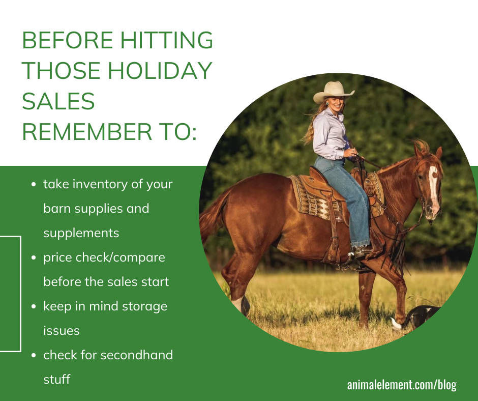 things-to-remember-before-shopping-the-holiday-sales-and-stocking-up-on-horse-supplies